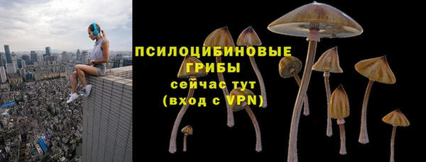 дживик Алексеевка