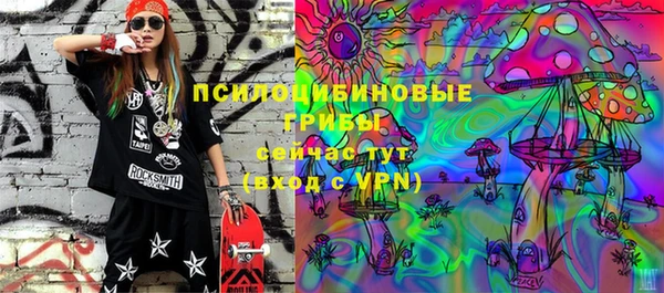 дурь Алексин