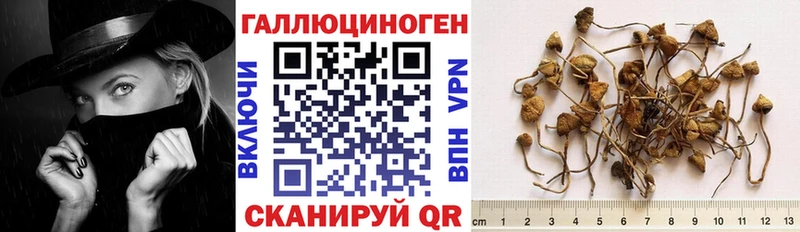Псилоцибиновые грибы мухоморы  наркошоп  Краснознаменск 