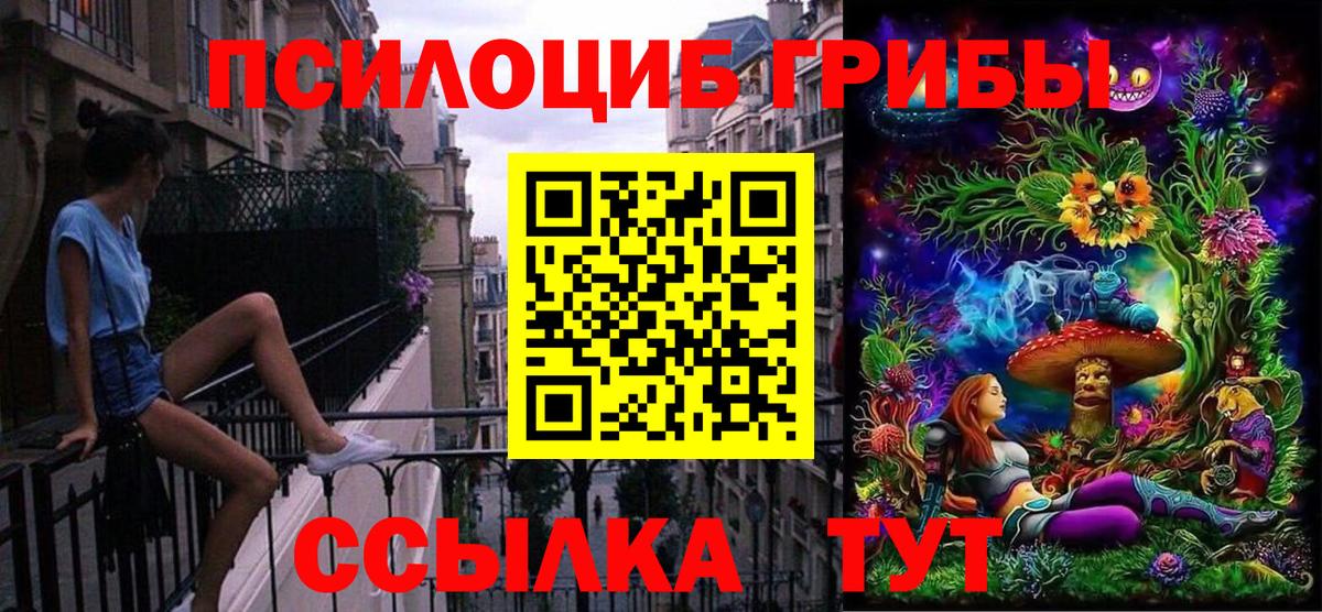 Псилоцибиновые грибы Psilocybine cubensis Краснознаменск