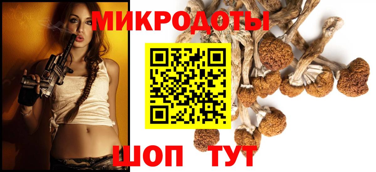 Псилоцибиновые грибы Psilocybe  Вход с VPN  Краснознаменск 