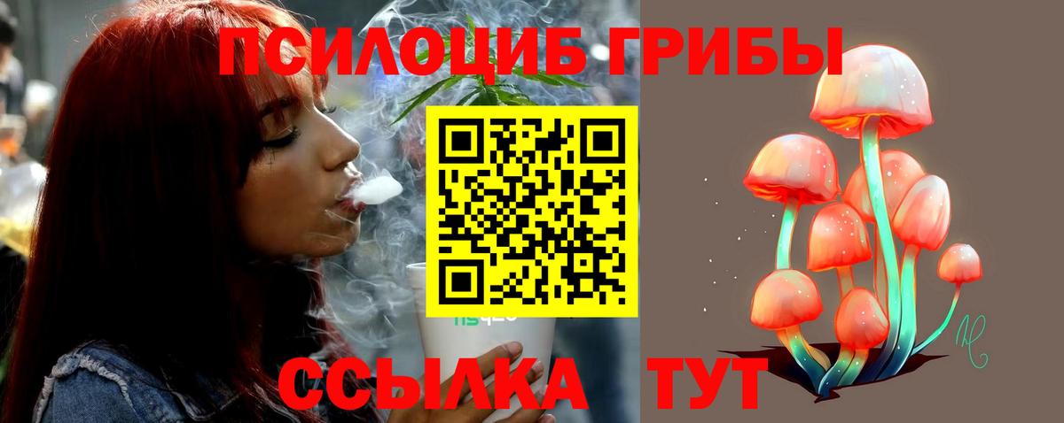 Псилоцибиновые грибы ЛСД Краснознаменск