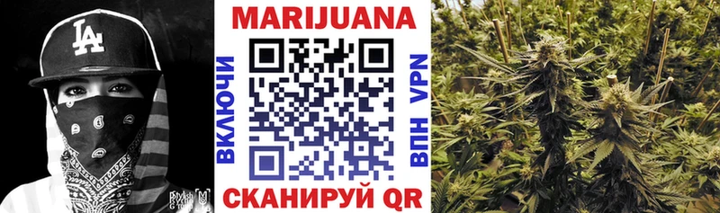маркетплейс телеграм  кракен как войти  Краснознаменск  Марихуана Amnesia 